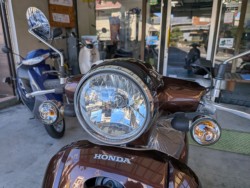 �z���_�W�����m�i���Q�����R�s�j�摜9