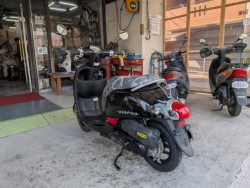 �z���_�W�����m�E�X�|���g�i���Q�����R�s�j�摜6