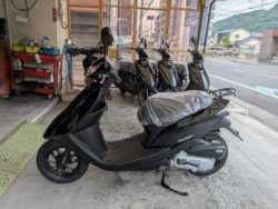 �z���_�f�B�I�i���Q�����R�s�j�摜5