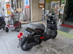 �z���_�W�����m�E�X�|���g�i���Q�����R�s�j�摜8