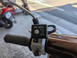 �z���_�W�����m�i���Q�����R�s�j�摜13