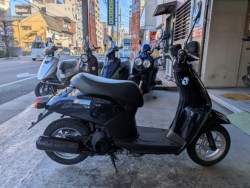 �z���_&nbsp;Today 