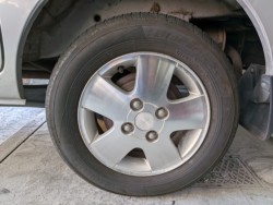 �X�Y�L�G�u���C���S���i���Q�����R�s�j�摜5