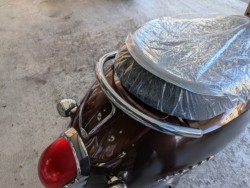 �z���_�W�����m�i���Q�����R�s�j�摜18