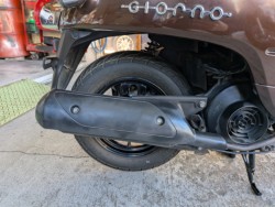 �z���_�W�����m�i���Q�����R�s�j�摜20