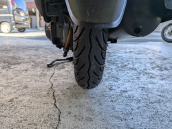 �z���_�W�����m�i���Q�����R�s�j�摜21