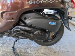 �z���_�W�����m�i���Q�����R�s�j�摜22