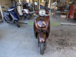 �z���_�W�����m�i���Q�����R�s�j�摜3