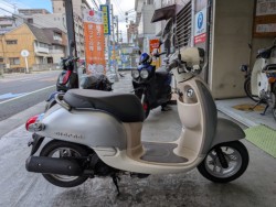 �z���_&nbsp;�W�����m 