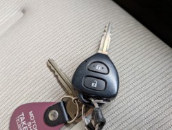 ���Y�E���̑��x���^�i���Q�����R�s�j�摜20