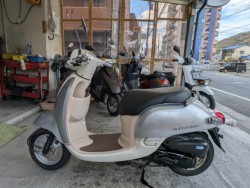 �z���_�W�����m�i���Q�����R�s�j�摜5