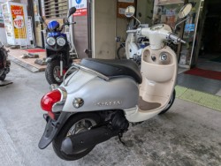 �z���_�W�����m�i���Q�����R�s�j�摜8