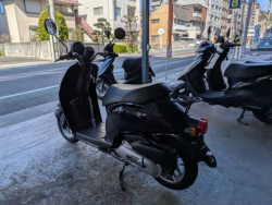 �z���_Today�i���Q�����R�s�j�摜6