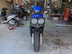 ���}�n�r�[�E�B�Y50�i���Q�����R�s�j�摜3