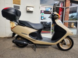 �z���_�X�y�C�V�[100�i���Q�����R�s�j�摜2
