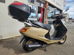 �z���_�X�y�C�V�[100�i���Q�����R�s�j�摜3
