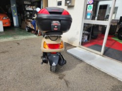 �z���_�X�y�C�V�[100�i���Q�����R�s�j�摜4