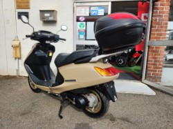 �z���_�X�y�C�V�[100�i���Q�����R�s�j�摜5