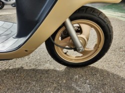 �z���_�X�y�C�V�[100�i���Q�����R�s�j�摜10