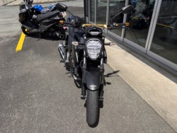 �X�Y�L�W�N�T�[250�i���Q���쑽�S���q���j�摜2