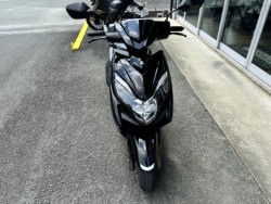 �X�Y�L�X�E�B�b�V���i���Q���쑽�S���q���j�摜2