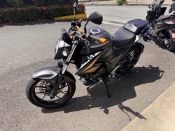 �X�Y�L�W�N�T�[250�i���Q���쑽�S���q���j�摜3
