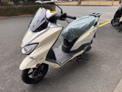 �X�Y�L�o�[�O�}���X�g���[�g125EX�i���Q���쑽�S���q���j�摜4