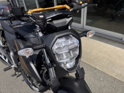 �X�Y�L�W�N�T�[250�i���Q���쑽�S���q���j�摜7