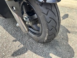 �X�Y�L�X�E�B�b�V���i���Q���쑽�S���q���j�摜11