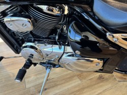 �X�Y�L�u���o�[�h400�i���Q���쑽�S���q���j�摜10