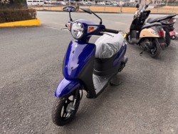 �X�Y�L���b�c�i���Q���쑽�S���q���j�摜3