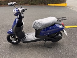 �X�Y�L���b�c�i���Q���쑽�S���q���j�摜4