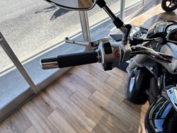 �X�Y�L�u���o�[�h400�i���Q���쑽�S���q���j�摜14