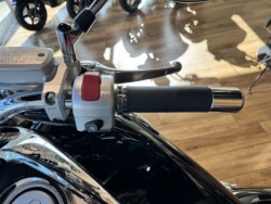 �X�Y�L�u���o�[�h400�i���Q���쑽�S���q���j�摜16