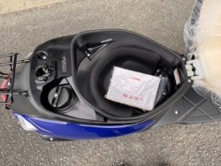 �X�Y�L���b�c�i���Q���쑽�S���q���j�摜9