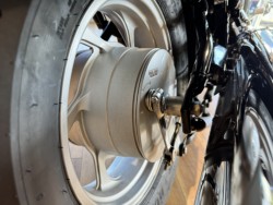 �X�Y�L�u���o�[�h400�i���Q���쑽�S���q���j�摜20
