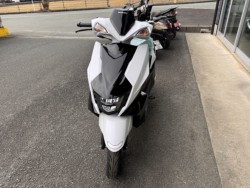 �X�Y�L�A���F�j�X125�i���Q���쑽�S���q���j�摜5