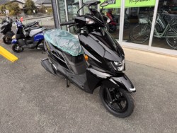 �X�Y�L�A���F�j�X125�i���Q���쑽�S���q���j�摜4