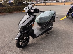 �X�Y�L�A���F�j�X125�i���Q���쑽�S���q���j�摜8