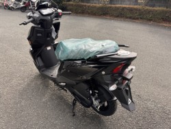 �X�Y�L�A���F�j�X125�i���Q���쑽�S���q���j�摜2