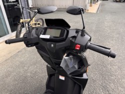 �X�Y�L�A���F�j�X125�i���Q���쑽�S���q���j�摜6