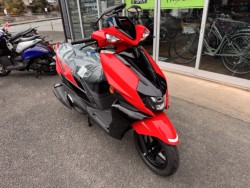 �X�Y�L�A���F�j�X125�i���Q���쑽�S���q���j�摜3