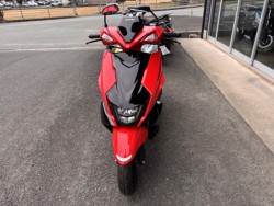 �X�Y�L�A���F�j�X125�i���Q���쑽�S���q���j�摜6