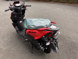 �X�Y�L�A���F�j�X125�i���Q���쑽�S���q���j�摜2