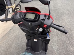 �X�Y�L�A���F�j�X125�i���Q���쑽�S���q���j�摜5