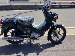 �z���_&nbsp;�N���X�J�u110 