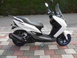 ���}�n�}�W�F�X�e�BS�i�L�����L���s�����k��j�摜2