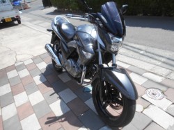 �X�Y�LGSR250�i�L�����L���s�����k��j�摜2