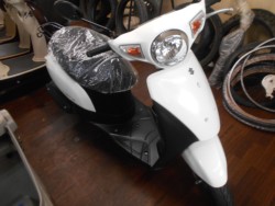 �X�Y�L���b�c�i�L�����L���s�����k��j�摜1