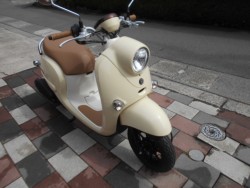 ���}�n�r�[�m�i�L�����L���s�����k��j�摜2